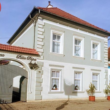 Pensiunea Puiu Popa Codlea Exterior photo